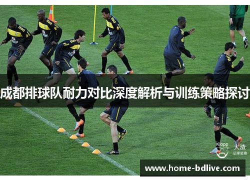 成都排球队耐力对比深度解析与训练策略探讨